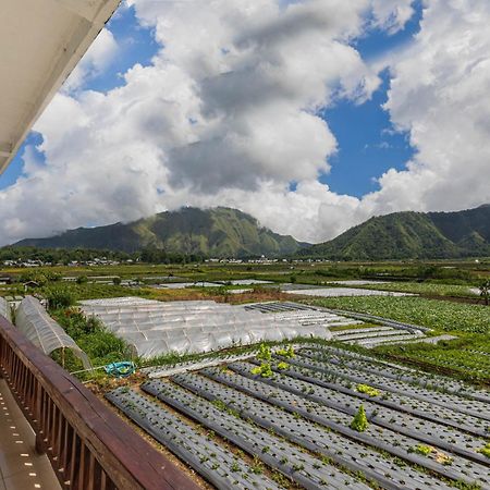 Teras Sawah Guest House Syariah Sembalunlawang Esterno foto