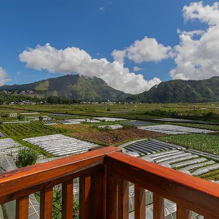Teras Sawah Guest House Syariah Sembalunlawang Esterno foto