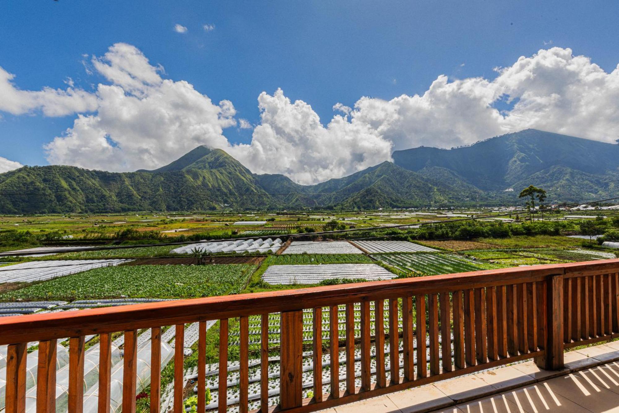 Teras Sawah Guest House Syariah Sembalunlawang Esterno foto
