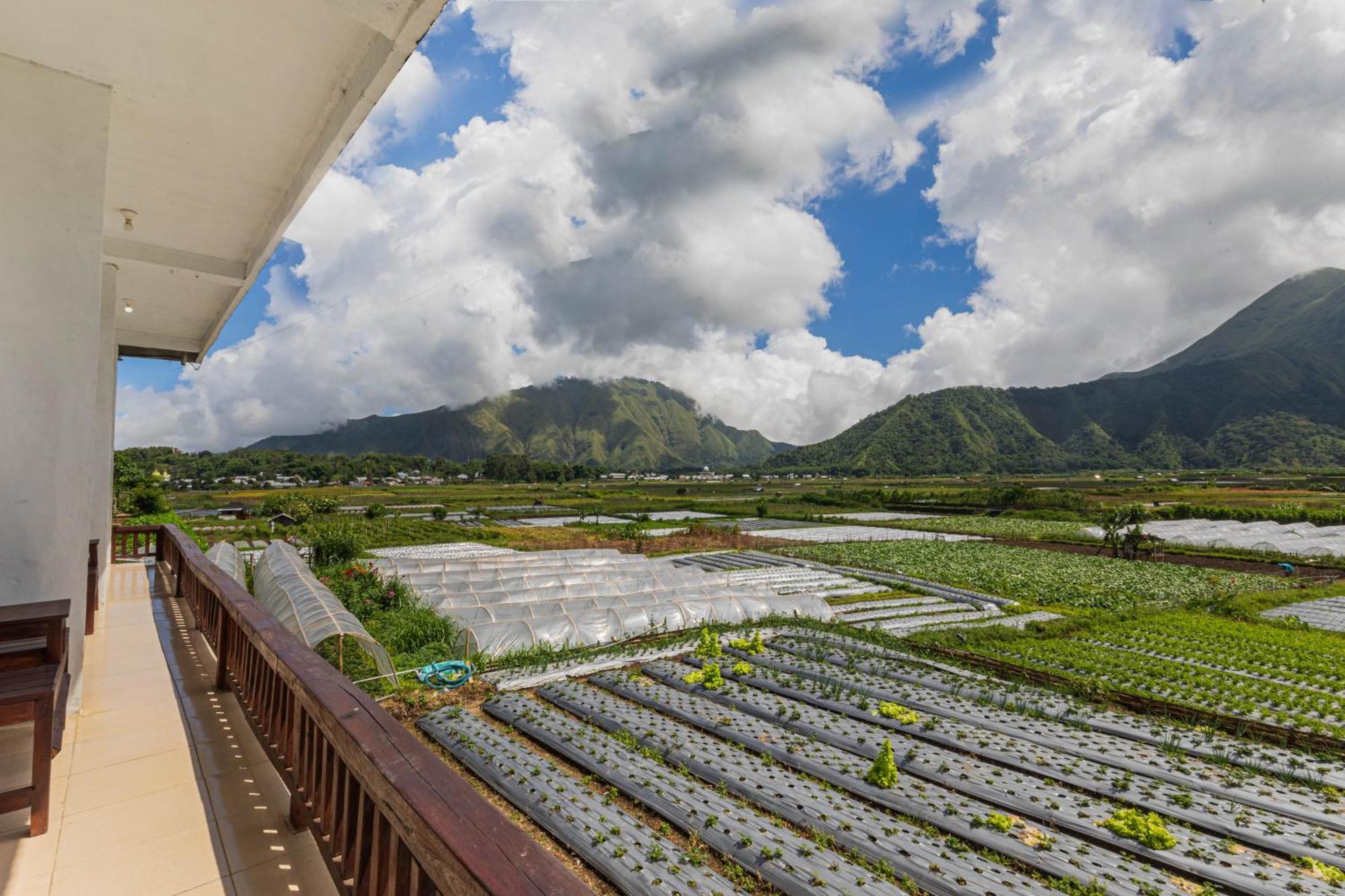 Teras Sawah Guest House Syariah Sembalunlawang Esterno foto