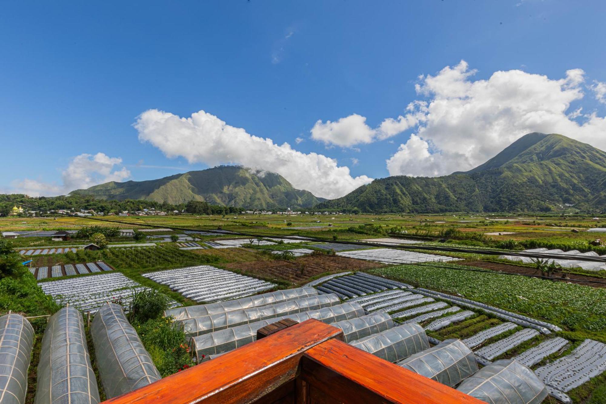 Teras Sawah Guest House Syariah Sembalunlawang Esterno foto